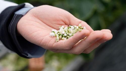 亚洲 国产 熟,国产熟品鉴之旅